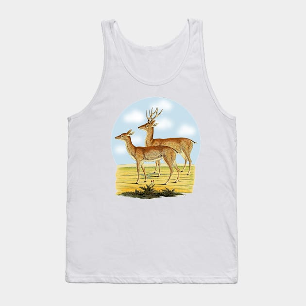 Deers  Illustration Tank Top by Biophilia